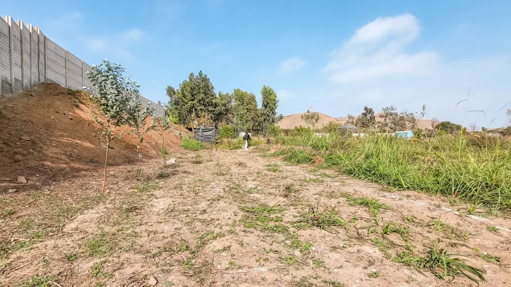 Terreno de campo con tierra y plantas de fondo donde se construiría el glamping